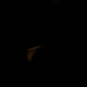 Meet your Posher, Tee